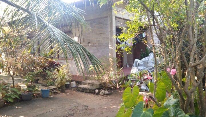 House for sale in chilaw